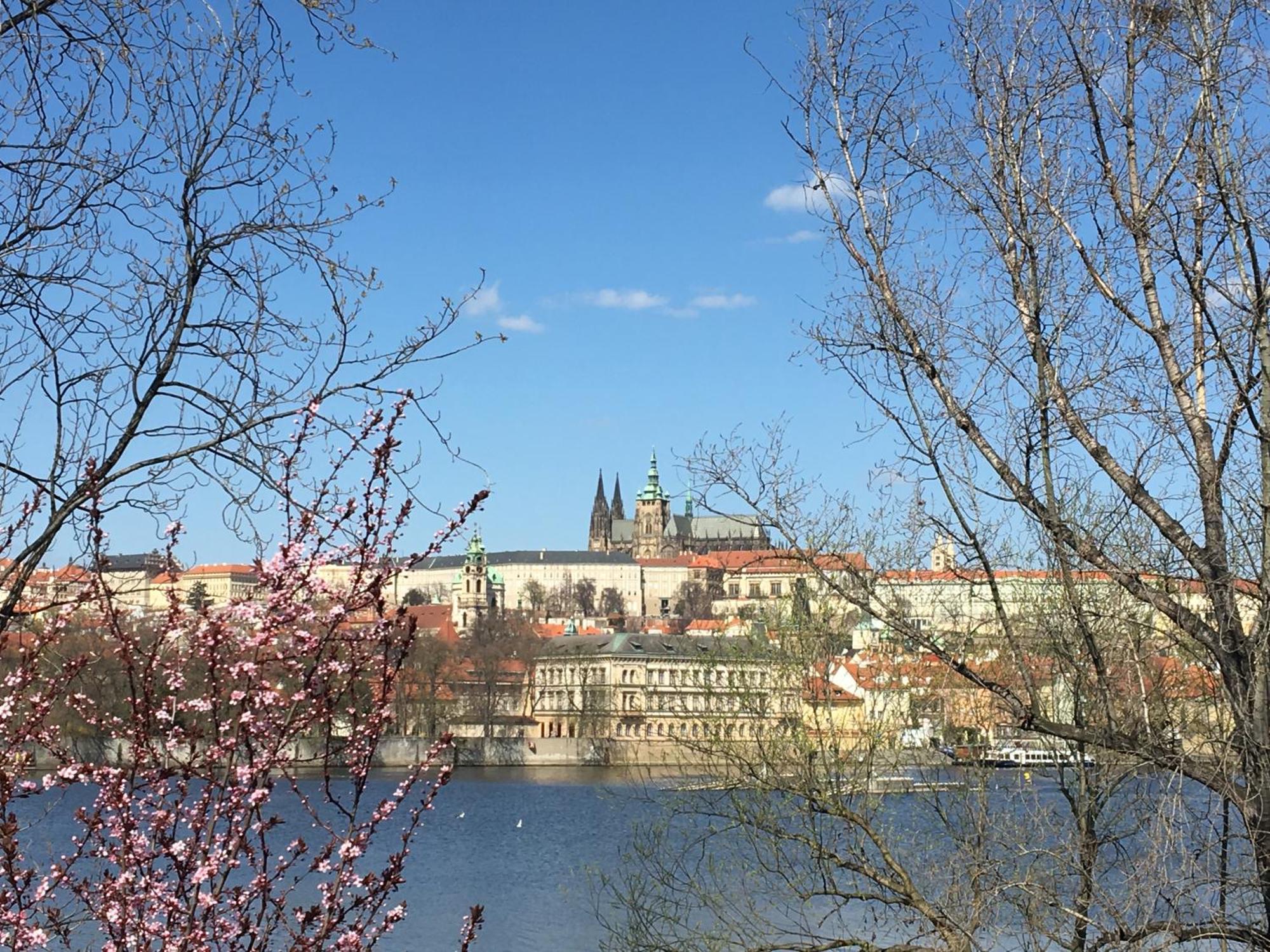 The Dancing House Residence, Two Bedroom Apartment With Balcony Near River! Prag Eksteriør billede